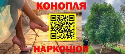 прущие крисы Коммунар
