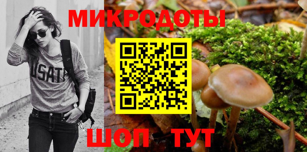 Киселёвск  Псилоцибиновые грибы Cubensis  Псилоцибиновые грибы Psilocybine cubensis  Вход с VPN 
